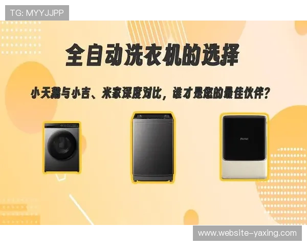 亚星娱乐备用平台与官方主站的区别与优势分析帮助用户做出明智选择